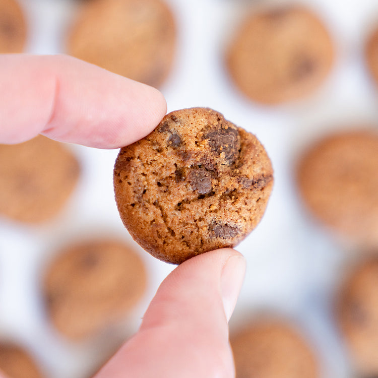 Mini 36 Hour Original Choc Chip Cookies